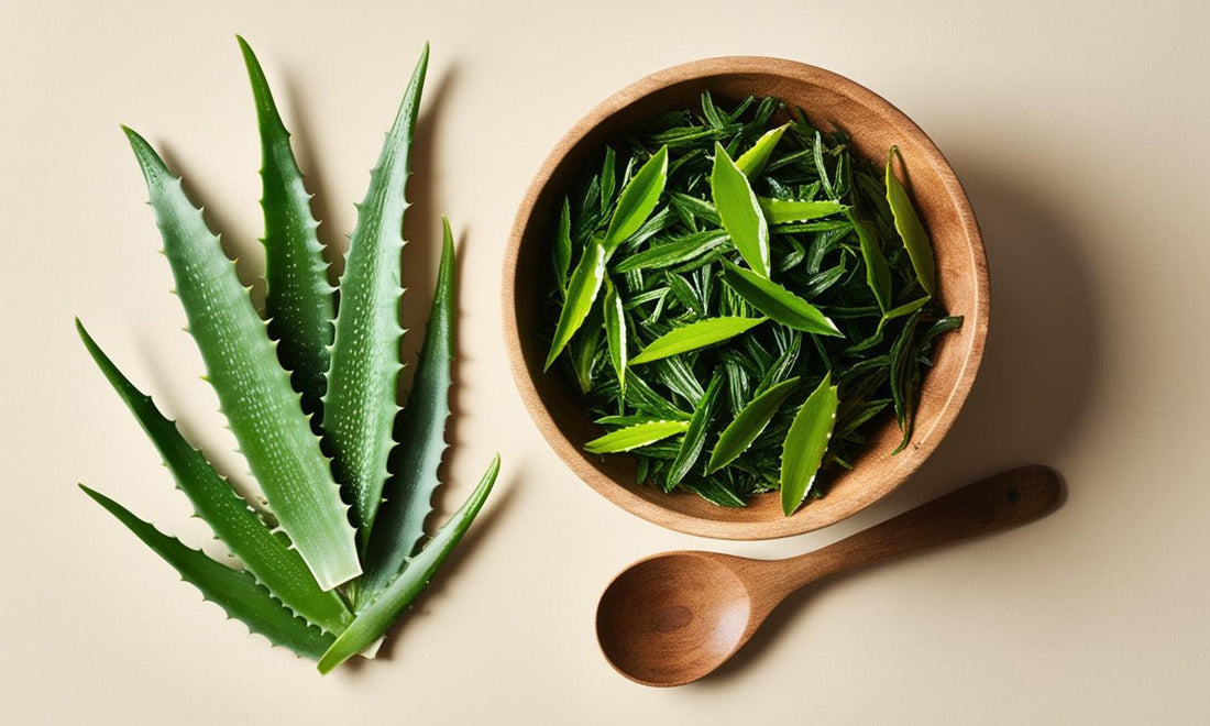 Aloe Vera & Green Tea: The Ultimate Duo for Radiant Skin