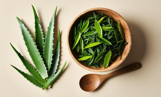 Aloe Vera & Green Tea: The Ultimate Duo for Radiant Skin