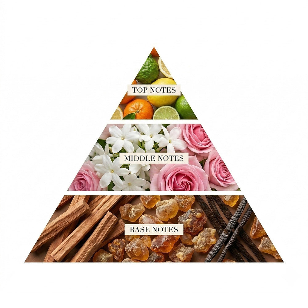 Perfume Notes Explained: Understanding How Fragrance Evolves
