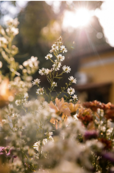 What Makes The Perfect Spring Perfume?